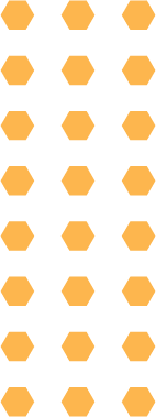 hexagonalx24-bg-pattern