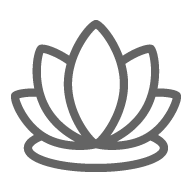 lotus-therapy-meditation-relax-spaviar